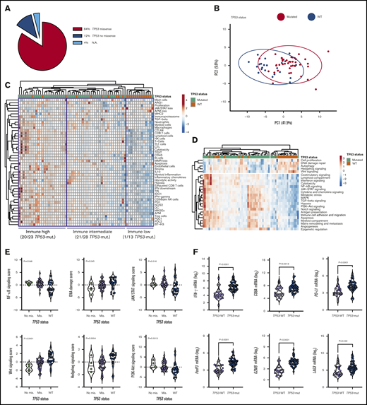 TP53-related cancer pathways and expression of actionable immune checkpoints in patients with TP53-mutated AML (SAL and Bologna cohorts). (A) TP53 mutations were categorized as missense or no missense (frameshift, splice site and nonsense) using the IARC TP53 database (http://p53.iarc.fr/) and based on prior knowledge.30,31 (B) Principal-component (PC) analysis of 770 immune genes (IO 360 panel) in patients with TP53-mutated (n = 42) and TP53WT AML (n = 22). Points are colored by TP53 mutational status (mutated, red; WT, blue). ClustVis was used for data analysis and visualization. (C) Heatmap of immune-cell-type–specific and biological activity scores in patients with TP53-mutated and TP53-WT AML (unsupervised hierarchical clustering; Euclidean distance; complete linkage). The number of TP53-mutated cases in each immune cluster (high, intermediate, and low) is indicated. ClustVis, an online tool for clustering of multivariate data, was used for data analysis and visualization. (D) Heatmap of cancer pathway scores in patients with TP53-mutated and TP53-WT AML (unsupervised hierarchical clustering; Euclidean distance; complete linkage). (E) Cancer pathway scores in patients with TP53-mutated and TP53-WT AML. Bars denote median values. Data were compared using the Kruskal-Wallis test for unpaired determinations. (F) Box plots summarizing the expression of negative immune checkpoints and immune genes related to T-cell infiltration, regulatory T cells, and cytolytic activity in patients with TP53-mutated and TP53-WT AML. Bars denote median values. Data were compared using the Mann-Whitney U test for unpaired determinations. NA, not available; PI3K, phosphatidylinositol 3-kinase.
