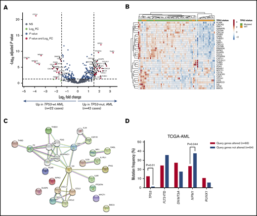Identification of a TP53-related immune gene set in patients with TP53-mutated AML (SAL and Bologna cohorts). (A) Volcano plot (R package version 1.4.0) showing DE genes (P threshold = .01; log2 fold change ≥1.5) between patients with TP53-mutated (n = 42) and TP53-WT AML (n = 22). B) Heatmap displaying the 34 genes with the greatest differential expression between patients with TP53-mutated and TP53-WT AML (P threshold = .01; log2 fold change ≥1.5). ClustVis, an online tool for clustering of multivariate data, was used for data analysis and visualization. (C) Analysis of functional protein association networks using STRING (https://string-db.org/). Top 10 molecules interacting with DE genes between TP53-mutated and TP53-WT AML are shown together with their predicted mode of action (highest-confidence interaction scores >0.900). Network nodes (query proteins) represent proteins produced by a single protein-coding gene locus. White nodes represent second shells of interactors. Empty and filled nodes indicate proteins of unknown or partially known 3-dimensional structure, respectively. Edges represent protein-protein associations. Line shapes denote predicted modes of action. (D) Correlation between abnormalities of genes in the TP53 immune classifier and prognostic molecular lesions, including TP53 mutations, in TCGA-AML cases. Data were retrieved and analyzed using cBioPortal for Cancer Genomics (http://www.cbioportal.org/) and were compared using the Fisher's exact test. NS, not significant.