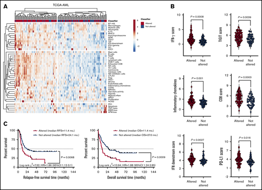 Upregulated genes in the TP53 immune gene classifier correlate with immune infiltration in TCGA-AML cases. (A) Heatmap of immune-cell-type–specific scores and biological activity scores (unsupervised hierarchical clustering; Euclidean distance; complete linkage) in TCGA-AML cases with (n = 93) or without (n = 54) abnormalities in the DE genes (TP53 immune classifier) between patients with TP53-mutated (n = 42) and TP53-WT AML (n = 22). Abnormalities were defined as mRNA upregulation, gene amplification, deep deletion, and missense mutations relative to the gene’s expression distribution in all profiled AML samples. Abnormalities in only 1 gene used in the cBioPortal query (by default, nonsynonymous mutations, fusions, amplifications, and deep deletions) were sufficient to define that particular patient sample as “altered." (B) Expression of IFN-γ signaling molecules, immune checkpoints, and markers of T-cell infiltration in TCGA-AML cases with or without abnormalities in the TP53 classifier genes. Bars denote median values. (C) Abnormalities in the 18 upregulated immune genes in the TP53 classifier in pretreatment BM samples from TCGA-AML cases. Data were retrieved, analyzed, and visualized using cBioPortal.34 The Kaplan-Meier method was used to generate survival curves, which were compared using a log-rank test.