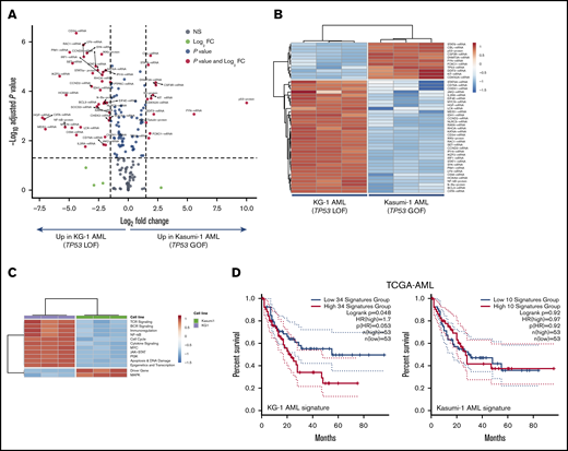 Integrated mRNA and protein profiling of AML cells lines with missense and truncating TP53 mutations. (A) Volcano plot (R package version 1.4.0) showing DE mRNA species and proteins between AML cell lines with missense (Kasumi-1 cells; p.R248Q; Broad Institute Cancer Cell Line Encyclopedia) and truncating (splice site) mutations of TP53 (KG-1 cells).30 (B) Heatmap of the top DE mRNA species and proteins between KG-1 AML and Kasumi-1 AML (unsupervised hierarchical clustering; Euclidean distance; complete linkage). ClustVis, an online tool for clustering of multivariate data, was used for data analysis and visualization.47 (C) Heatmap of signaling pathway scores in KG-1 and Kasumi-1 cells (unsupervised hierarchical clustering; Euclidean distance; complete linkage). Signature scores were calculated as detailed in "Materials and methods." (D) Kaplan-Meier estimate of survival from diagnosis in TCGA-AML cases with abnormalities in DE genes between KG-1 (n = 34) and Kasumi-1 cells (n = 10). KM curves (median split of signature scores) were generated using GEPIA2, an enhanced Web server for TCGA gene expression profiling and interactive analysis (http://gepia2.cancer-pku.cn/#index). Signature scores are calculated as the mean value of log2 transcripts per million. GEPIA2 uses the log-rank (Mantel-Cox) test to compare survival distributions.