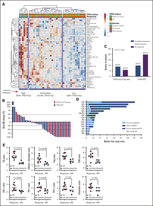 Immune landscape and immunotherapy response in patients with relapsed/refractory AML with and without TP53 mutations and/or 17p abnormalities. (A) Heat-map of immune cell type-specific scores and biological activity scores in patients with relapsed/refractory AML treated with flotetuzumab immunotherapy. ClustVis, an online tool for clustering of multivariate data, was used for data analysis and visualization.47 (B) Waterfall plot depicting changes in BM blasts after cycle 1 of flotetuzumab in patients with TP53 mutations and/or 17p deletion (n = 14; a BM sample was not available in 1 patient who progressed on treatment. (C) Response to flotetuzumab in relation to TP53 abnormalities (χ2 test). (D) Swimmer plot showing time on treatment and time to death and/or censoring in relation to clinical response in the 15 patients with TP53 mutations and/or 17p deletion with genomic loss of TP53. Response criteria are described in "Materials and methods." (E) TIS, inflammatory chemokine, Treg cell, CD8, IFN-γ, PD1, PD-L1, and exhaustion mRNA scores in baseline BM samples from patients with TP53 mutations and/or 17p deletion. Complete responses were defined as either CR, CR with partial hematological recovery, CRi, or MLFS. Data were compared using the Mann-Whitney U test for unpaired determinations. CR, complete remission; CRh, complete remission with partial hematopoietic recovery; FU, follow-up; OB, other benefit (>30% decrease of BM blasts relative to baseline); NR, no response; PD, progressive disease; SD, stable disease.