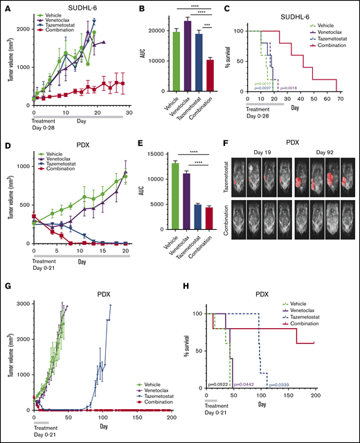 Inhibition of EZH2 and Bcl-2 in combination results in tumor reduction and prolonged survival in vivo. (A,D,G) Tumor volume over time in SUDHL-6 xenografts and PDXs, as measured by calipers. Error bars represent standard error of the mean (SEM). Tumor growth in SUDHL-6 (B) and PDX (E) xeongrafts, as measured by area under the curve (AUC), for the duration of treatment. Error bars represent SEM. (C,H) Kaplan-Meier curve for overall survival. P values represent comparison with combination therapy for each cohort. Among PDX mice treated with combination therapy, 2 deaths occurred, both in mice without tumors. (F) MRI 3D renderings of PDX mice taken at day 19 and at day 92. Images were obtained using a 1T M3 compact MRI system (Aspect Imaging Ltd.) with a T2-weighted scan without contrast. The tumor area of interest, as determined by automatic thresholding settings, is shown in red. ***P < .001, ****P < .0001.