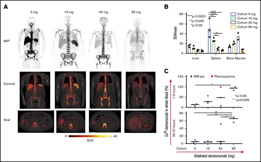 64Cu-daratumumab uptake as a result of increasing doses of unlabeled daratumumab. (A) PET/CT scan of 1 representative patient from each cohort treated with 64Cu-daratumumab and increasing concentrations of preinfused unlabeled antibody (0, 10, 45, and 95 mg) showing higher liver and spleen uptake in patients who did not receive any unlabeled daratumumab (0 mg) compared with the 10-, 45-, and 95-mg cohort of patients. Increased BM uptake was instead observed in the 10- and 45-mg cohort compared with both the 0- and the 95-mg cohorts. Coronal and axial images through these PET scans are also shown for visualizing relative organ uptake between the cohorts. Color bar is shared between all coronal and axial images. (B) Bar graphs showing the SUVmean values for each cohort in the organs of interest. The BM uptake of the plasmacytoma patient in the 45-mg cohort was not included in the graph. Two-way analysis of variance Tukey multiple comparison test was used to calculate the significance in liver and spleen uptake among treatment cohorts. (C) Dot plots showing radiotracer concentration in the whole blood of the different cohorts at early (1 to 3 hours) and late time points (25 to 27 hours). One-way analysis of variance Tukey multicomparison test was conducted. MIP, maximum intensity projection.