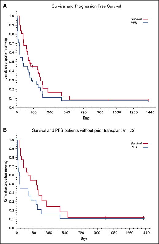 Survival and progression-free survival (PFS). (A) All patients (N = 31). (B) Patients with no prior allogeneic BM transplantation (n = 22).