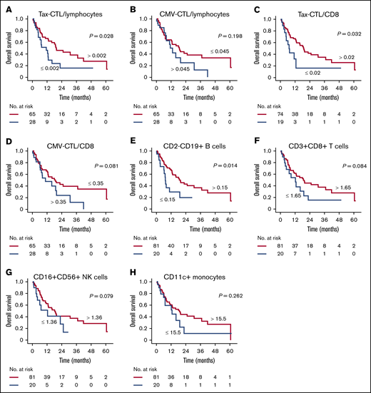 OS according to immunological parameters of the cohort in which patients were censored at the day of allogeneic HSCT. (A) OS according to higher or lower percentages of Tax-CTLs within all lymphocytes. (B) OS according to CMV-CTL percentages in all lymphocytes. (C) OS according to percentages of Tax-CTLs within CD8+ lymphocytes. (D) OS according to percentages of CMV-CTLs within CD8+ lymphocytes. (E) OS according to percentages of CD2-CD19+ B cells within lymphocytes. (F) OS according to CD3+CD8+ T cell levels. (G) OS according to CD16+CD56+ NK cell levels. (H) OS according to CD11c+ monocyte levels.