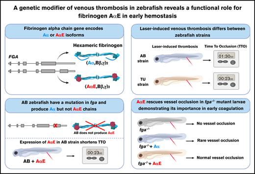 Created using Biorender
