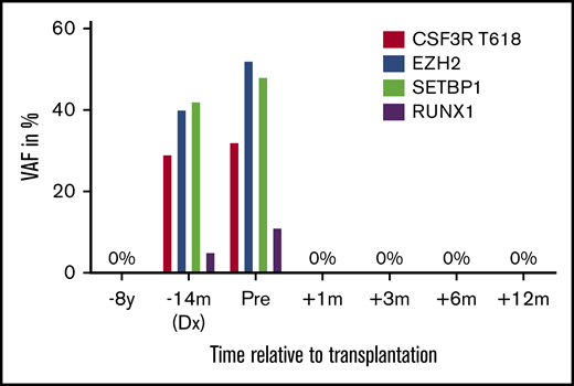 VAFs of mutations during evolution from SAA to CNL. VAF 8 years before transplantation, at diagnosis of CNL, pretransplant, and 1, 3, 6, and 12 months after allogeneic hematopoietic stem cell transplantation.