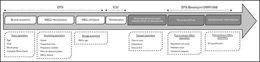RBC unit (RBCu) course stages and associated studied parameters. ICU, intensive care unit.
