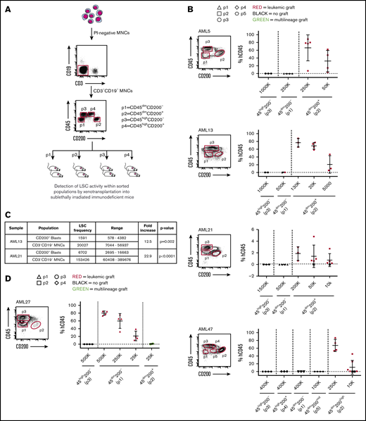 CD200 is a marker of LSC activity measured by xenotransplantation assays. (A) Schematic of experimental protocol showing cell sorting strategy based on CD45 and CD200 expression followed by transplantation into NSG mice. (B) Sorting gates and level of human CD45+ engraftment in injected femur following transplantation at indicated doses of sorted populations from 4 representative AML samples expressing CD200 on ≥10% of CD45dim blasts (AML5, AML13, AML21, and AML47). (C) LSC frequencies in CD45dimCD200+ blasts and CD3−CD19− MNCs for samples AML13 and AML21, calculated using ELDA (extreme limiting dilution analysis) software. (D) Sorting gates and level of human CD45+ engraftment in injected femur following transplantation at indicated doses of sorted populations from a representative AML sample expressing CD200 on <5% of CD45dim blasts (AML27). For panels B and D, each symbol represents 1 mouse; red symbols indicate leukemic grafts, green symbols indicate multilineage grafts, black symbols indicate no engraftment; mean ± standard deviation is shown for each cohort of mice.