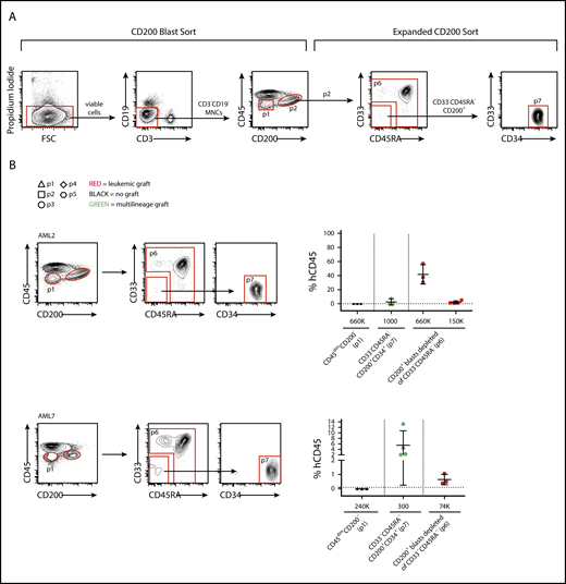 CD200+LSCs can be prospectively separated from HCSs. (A) Flow cytometry plots showing gating strategy used to separate CD200– and CD200+ blasts (CD200 Blast Sort) and to separate CD200+ LSCs from CD200+ HSCs (Expanded CD200 Sort). (B) Human CD45+ engraftment in injected femur following transplantation of sorted populations at indicated doses from samples AML2 and AML7. Each symbol represents 1 mouse; red symbols indicate leukemic grafts, green symbols indicate multilineage grafts, black symbols indicate no engraftment; mean ± standard deviation is shown for each cohort of mice.