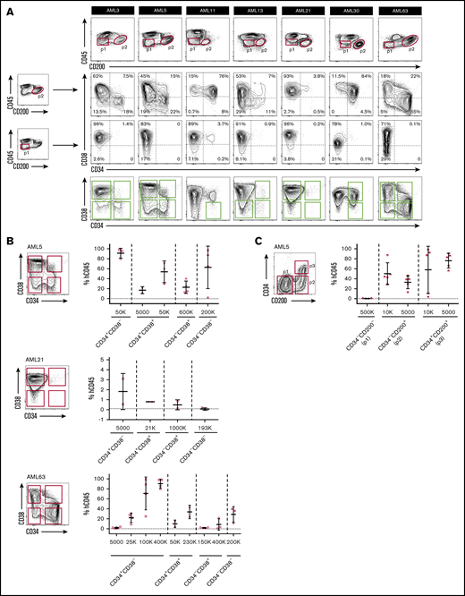 CD200 captures both CD34–and CD34+LSCs. (A) Flow cytometric analysis of CD34 and CD38 expression on CD200+ and CD200− blasts from 7 AML samples with CD200+ LSCs. Engrafting fractions containing LSCs as determined by xenotransplantation assays are indicated by green boxes. (B) Sorting gates and level of human CD45+ engraftment in injected femur following transplantation at indicated doses of sorted populations from samples AML5, AML21 and AML63. (C) Sorting gates and level of human CD45+ engraftment in injected femur following transplantation at indicated doses of sorted populations from sample AML5. For panels B and C, each symbol represents 1 mouse; red symbols indicate leukemic grafts, black symbols indicate no engraftment; mean ± standard deviation is shown for each cohort of mice.