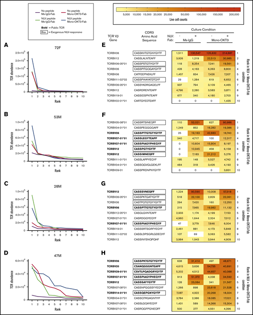Mono-OKT3-Fab copotentiation primarily enhances expansion of top-ranked T-cell clones. (A-D) TCR clones for each exog-NLV-bulk-responsive donor were ranked from most abundant to least abundant for each condition. Differences in rank-vs-rank performance concentrated in the top 10 clones. (E-H) Among top-ranked clones, there was variability in the extent to which clones were amplified by exogenous NLV, mono-OKT3-Fab, or both in combination. The top 10 ranked clones from the NLV + mono-OKT3-Fab condition are shown with their corresponding live-cell number abundance in the other 3 conditions. Boxed amino acid sequences indicate NLV-specific clones (clones with greater abundance in NLV + Ms-IgG-Fab vs no exogenous peptide + Ms-IgG-Fab condition or, for public TCRs, observation of that pattern in ≥1 other donor or previously reported in the literature). Sequences in bold represent public TCR-bearing clones appearing in multiple donors in the present study or previously reported in the literature. Heatmaps visualize the increase in clonal cell number generated by exogenous NLV, mono-OKT3-Fab, or both in combination.