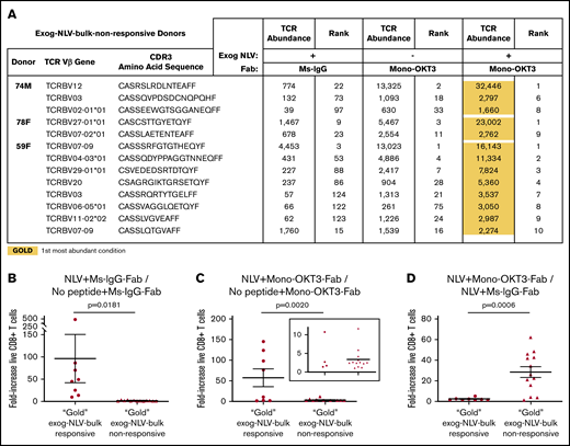 Although bulk cultures from A2/NLV-tetramer(−) donors appear nonresponsive to exogenous NLV, single-clone analysis reveals weak NLV-responsive clones amplified by CD3 copotentiation in a unique expansion signature. (A) Gold/silver-bronze analysis was applied to exog-NLV-bulk-nonresponsive donors for the top clones showing greater abundance in NLV + Ms-IgG-Fab vs no peptide + Ms-IgG-Fab conditions. It was observed that for each of these clones, the NLV + mono-OKT3-Fab combination condition yielded greatest abundance. (B) Among top NLV-specific clones, those from exog-NLV-bulk-responsive donors respond more than those from exog-NLV-bulk-nonresponsive donors to exogenous NLV. NLV-specific fold increase in TCR abundance was determined for gold-response clones from exog-NLV-bulk-responsive donors vs those from nonresponsive donors (supplemental Table 5). (C) NLV-specific fold-increase in TCR abundance was also assessed when gold-response clones from both types of donors were cultured in the presence of mono-OKT3-Fab. (D) Exog-NLV-bulk-nonresponsive donors respond more than exog-NLV-bulk-responsive donors to CD3 copotentiation when it is driven by exogenous NLV. Mono-OKT3-Fab-specific fold increase in TCR abundance was determined for gold-response clones from exog-NLV-bulk-responsive donors vs those from nonresponsive donors (supplemental Table 5). Data are included for gold-response clones in exog-NLV-bulk-responsive and nonresponsive donors. Each dot represents the fold-increase of a TRBV-CDR3-bearing clone (B-D) (mean ± SEM, 1-tailed unpaired Student t test).