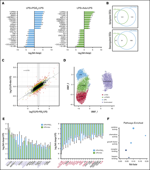 Transcriptomic analysis of LPS-stimulated M-CSF–derived human macrophages after the addition of exogenous Ado and PGE2reveals a modest but similar change in gene expression. Human monocytes were cultured in M-CSF for 7 days and then left unstimulated, or they were stimulated with LPS, LPS + Ado, or LPS + PGE2 for 4 hours before total mRNA was isolated and sequenced on an Illumina platform. (A) The top 10 most highly upregulated and bottom 10 most highly downregulated genes by LPS + PGE2 (light blue bars) and LPS + Ado (light green bars) are expressed as log2 fold change (log2FC) relative to LPS stimulation alone. Differentially expressed genes (DEGs) in common between LPS + Ado and LPS + PGE2 are marked with an asterisk (FC >2; P < .05). Note: CCL3L3 and CCL3L1 share the same ENSEMBL gene ID and were therefore represented together as 1 bar. (B) Venn diagrams indicate the number of unique and shared upregulated (top) and downregulated (bottom) DEGs (FC >2; P < .05) of macrophages stimulated by LPS + Ado and LPS + PGE2 relative to macrophages stimulated by LPS alone. (C) The log2FC of genes expressed by LPS + Ado vs LPS + PGE2 relative to LPS alone are visualized in a scatter plot. The R value calculated by Pearson’s correlation analysis is indicated in the plot area (P < 2.2e-16). (D) Single-cell RNA-seq of unstimulated macrophages or macrophages stimulated by LPS, LPS + Ado, or LPS + PGE2 at 4 hours is visualized by using uniform manifold approximation and projection (UMAP). (E) The top 20 and bottom 20 DEGs (FC >2; P < .05) that are shared between macrophages stimulated by LPS + Ado (light green bars) and LPS + PGE2 (light blue bars) are expressed as the FC relative to macrophages stimulated by LPS alone. Genes with published roles in growth promotion and angiogenesis are highlighted in lavender; genes with published roles in inflammation are highlighted in red. (F) The top 5 enriched molecular function Gene Ontology (GO) terms for the DEGs shared between LPS + Ado and LPS + PGE2 (FC >2; P < .05) are indicated. Point size corresponds to the number of DEGs in each GO category. The color of the point indicates the P value of enrichment for each GO category. The rich factor represents the ratio of the number of DEGs to the number of genes in the GO term category.