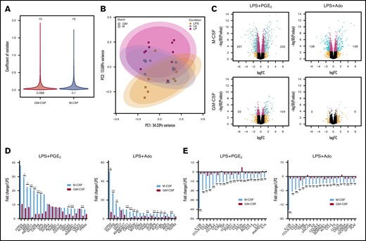 Transcriptomic analysis of GM-CSF–derived human macrophages reveals a highly limited response to exogenous Ado and PGE2. Donor matched human monocytes were cultured in M-CSF and GM-CSF for 7 days and were then left unstimulated or were stimulated with LPS, LPS + Ado, or LPS + PGE2 for 4 hours before total mRNA was isolated and sequenced on an Illumina platform. (A) Coefficients of variation (CoV) were calculated and plotted for M-CSF (blue, 0.1) and GM-CSF (red, 0.088) samples stimulated with LPS, LPS + Ado, or LPS + PGE2. The number of samples analyzed for M-CSF and GM-CSF are indicated above the violins (30 total). The y-axis represents the CoV, and the width of each violin changes according to the number of transcripts with that CoV. (B) Principal component analysis (PCA) indicates variance between samples and sample stimulations including LPS, LPS + Ado (LA) and LPS + PGE2 (LP). (C) Volcano plots exhibit the log2FC of all the genes expressed in macrophages stimulated by LPS + Ado and LPS + PGE2 relative to macrophages stimulated by LPS alone for both M-CSF (top) and GM-CSF (bottom) samples. The numbers printed in the box are the number of DEGs with a fold change >2 and P < .05 (number of green dots). (D) The fold changes of the top 20 upregulated DEGs (n = 5; FC >2; P < .05) by LPS + PGE2 and LPS + Ado in M-CSF macrophages (light blue bars) and their corresponding fold changes in GM-CSF macrophages (red bars) are plotted relative to LPS stimulation alone. (E) The fold changes of the bottom 20 downregulated DEGs (n = 5; FC >2; P < .05) by LPS + PGE2 and LPS + Ado in M-CSF macrophages (light blue bars) and their corresponding fold changes in GM-CSF macrophages (red bars) are plotted relative to LPS stimulation alone. Note: CCL3L3 and CCL3L1 share the same ENSEMBL gene ID and were therefore represented together as 1 bar. *P ≤ .05; **P ≤ .01; ***P ≤ .001.