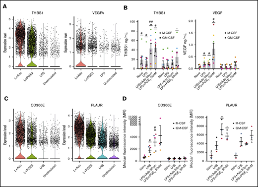 Single-cell sequencing and protein analysis revealed potential biomarkers for LPS + Ado and LPS + PGE2human regulatory macrophages. Human monocytes were cultured in M-CSF for 7 days and then were left unstimulated or were stimulated with LPS, LPS + Ado, or LPS + PGE2. (A) Violin plots are used to visualize the single-cell expression of secreted marker genes THBS1 and VEGFA. (B) Levels of the proteins THBS1 and VEGF in the supernatants of 24-hour stimulated M-CSF (circles) and GM-CSF (squares) macrophages were detected by ELISA (n = 7). *P ≤ .05; **P ≤ .01 relative to LPS stimulation alone; #P ≤ .05; ##P ≤ .01 between M-CSF and corresponding GM-CSF stimulation. (C) Violin plots are used to visualize the single-cell expression of surface-expressed marker genes CD300E and PLAUR. (D) Surface expression of CD300E (n = 5) and PLAUR (n = 3) on M-CSF (circles) and GM-CSF (triangles) macrophages stimulated for 24 hours or 8 hours was detected by flow cytometry and expressed as the median fluorescence intensity (MFI). *P ≤ .05; **P ≤ .01 relative to LPS stimulation alone; #P ≤ .05 between M-CSF and corresponding GM-CSF stimulation. Error bars represent SEM.