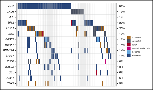 Mutational landscape of patients with MPN-BP undergoing HCT (n = 95). Genes mutated in ≥5% of study patients are displayed, with the frequencies listed along the right side of the figure.