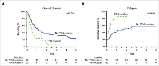 Impact of TP53 mutations HCT outcomes in MPN-BP. OS (A) and relapse (B) in the subset of patients with DNA available for targeted sequencing (n = 95).