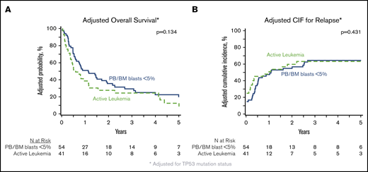 Impact of degree of blast reduction on HCT outcomes in MPN-BP. Adjusted OS (A) and adjusted cumulative incidence of relapse (B), both adjusted for TP53 mutation status, in the subset of patients with DNA available for targeted sequencing (n = 95).