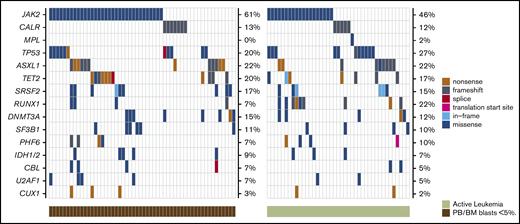 Comparison of the genetic landscape of MPN-BP patients with active leukemia vs those with PB/BM blasts <5% at the time of HCT. Mutation frequencies are displayed on the right side of each plot.
