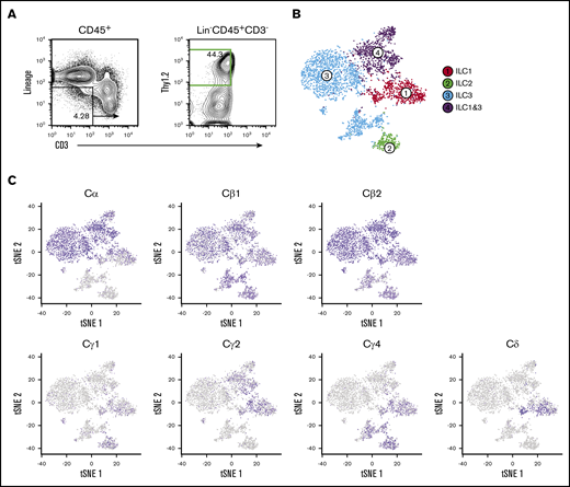 Cecal ILC subsets express transcripts of Cβ, Cα, Cγ, and Cδ. (A) Activated ILC subsets were sort-purified based on Lin–CD45.2+Thy1.2+CD3– surface markers (green) for droplet-based scRNA-seq analyses. (B) Unsupervised clustering of ILC subsets using Seurat R package. t-distributed stochastic neighbor embedding (tSNE) plots were generated to visualize graph-based clustering of single cecum ILC libraries. NK, T, and B cells were excluded from the analysis based on their signature mRNA expression profiles. (C) Distribution of TCR constant region gene expression in activated ILC subsets.