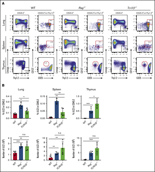 Evaluation of ILC2 frequency in models that are incapable of generating functional T cells. (A) Thymus, spleen, and lung tissues were isolated and put into single-cell suspensions from adult (7 to 10 weeks old) WT, Rag1−/− and Tcrδ/β−/− mice. ILC2 frequency and absolute number were measured using the gating strategy shown in the representative FACS plots. ILC2s were characterized based on CD45.2+Lin–Thy1.2hiCD25+CD127+ surface markers, and the data were collected on a Beckman Coulter Cytoflex flow cytometer. (B) Percent frequencies of ILC2s in total CD45.2+ cells and their total numbers in the thymus, spleen, and lung. Significance was determined by Student t test (n > 4). *P < .05; **P < .005; ***P < .0005; P < .0001 is not labeled. Representative data from 2 independent experiments are shown.
