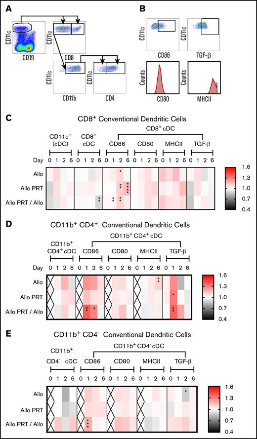PRT-treated platelets induce TGF-β production in CD4+cDCs. The responses of cDCs were examined at 4 hours (day 0) and at days 1, 2, and 6. (A) Cells were gated on CD11cHi CD8+, CD11cHi CD8− CD11b+ CD4+ or CD11cHi CD8− CD11b+ CD4− cDC subsets. (B) The frequencies of CD86+ and TGF-β+ cells and the median fluorescent intensities of CD80 and MHCII were evaluated for each cDC subset. (C-E) Heat maps show fold changes of each group compared with the nontransfused group. The frequency of total cDCs was derived from total live-cell events, and the frequency of CD11cHi CD8+ (C), CD11cHi CD8− CD11b+ CD4+ (D), and CD11cHi CD8− CD11b+ CD4− (E) were derived from total cDCs. The frequencies of CD86+ and TGF-β+ were derived from their respective cDC subset. “X” labels time points where <2 sets of data were available. Data combined from 2 or 3 independent experiments (n = 5 per group) are shown. *P < .05, **P < .01, ***P < .001, ****P < .0001.