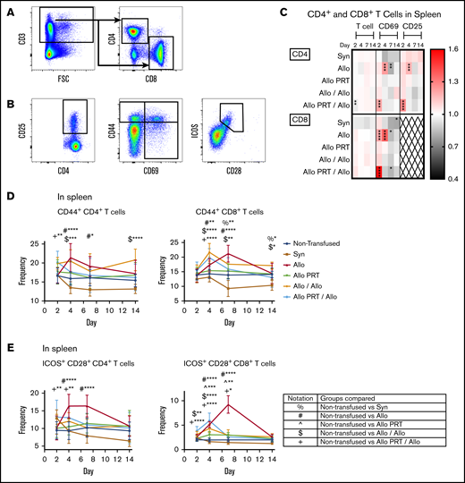 PRT-treated platelets induce only weak activation of splenic T cells and inhibit T-cell responses to subsequent untreated platelets. The responses of T cells were examined from the spleen at days 2, 4, 7, and 14. (A) Cells were gated on CD3+, followed by CD4+ or CD8+ events. FSC, forward scatter. (B) CD4+ and CD8+ T cells were then evaluated for frequency of CD25+, CD69+, CD44+, and ICOS+/CD28+. (C) Heat map shows fold changes in frequencies of each group compared with the nontransfused group for CD4+ T cells (top) or CD8+ T cells (bottom) (out of total CD3+ events) and CD69+ and CD25+ events (out of total CD4+ or CD8+ events, respectively). CD8+ T cells did not meet threshold of 100 positive events for CD25 and were therefore excluded (X). (D-E) Frequencies of CD44 expression (D) and ICOS+/CD28+ (E) out of total CD4+ or CD8+ T-cell events are plotted. Notation indicates significance between groups. Combined data from 5 independent experiments (n = 3-5 per group) are shown, and bars indicate mean and standard deviation. *P < .05, **P < .01, ***P < .001, ****P < .0001.