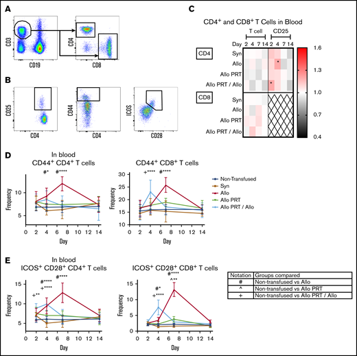 PRT-treated platelets induce only weak activation of blood T cells and inhibit T-cell responses to subsequent untreated platelets. The responses of T cells were examined from blood at days 2, 4, 7, and 14. (A) Cells were gated on CD3+/CD19−, followed by CD4+ or CD8+ events. (B) CD4+ and CD8+ T cells were then evaluated for frequency of CD25+, CD44+, and ICOS+/CD28+. (C) Heat map shows fold changes in frequencies of each group compared with the nontransfused group for CD4+ T cells (top) or CD8+ T cells (bottom) (out of total CD3+ events) or CD4+ CD25+ events (out of total CD4+ events). CD8+ T cells did not meet threshold of 100 positive events for CD25 and were therefore excluded (X). (D-E) Frequencies of CD44+ (D) or ICOS+/CD28+ (E) out of total CD4+ or CD8+ T-cell events, respectively. Notation indicates significance between groups. Data are combined from 3 independent experiments (n = 3 per group), and bars indicate mean and standard deviation. *P < .05, **P < .01, ****P < .0001.