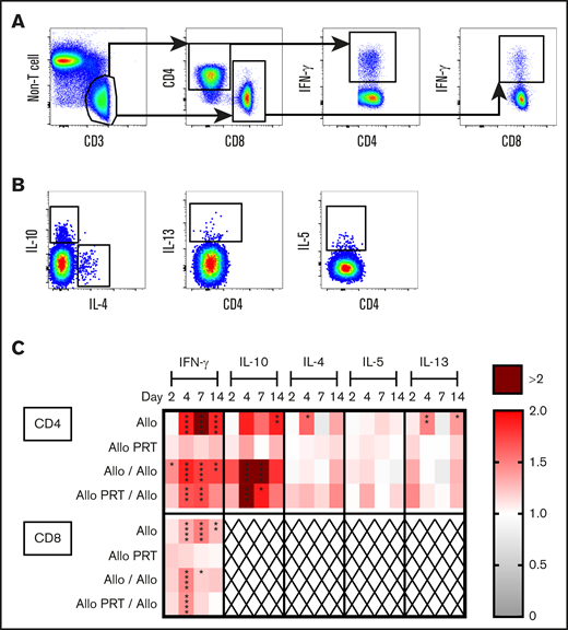 PRT-treated platelets do not induce cytokine production by splenic T cells and alter the cytokine response to subsequent untreated platelets. Splenocytes from mice described in Figure 3 were stimulated for 3 hours and then stained for intracellular cytokine expression. (A) Cells were gated on CD3+/non-T-cell marker−, CD4+, or CD8+ T cells and IFN-γ+. (B) CD4+ T cells were gated on IL-10+, IL-4+, IL-13+, and IL-5+. (C) Heat map shows fold changes of each group compared with the nontransfused group for frequencies of cytokines out of total CD4+ T cells (top) or CD8+ T cells (bottom). CD8+ T cells did not meet threshold of 25 positive events for cytokines IL-10, IL-4, IL-5, and IL-13 and were therefore excluded (X). Data from 2 independent experiments are shown (n = 5 per group). *P < .05, **P < .01, ***P < .001, ****P < .0001.