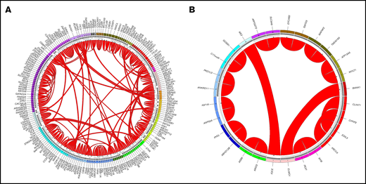 Summary of novel fusions in AML and MDS. The plot was generated by Circos. The outermost circle indicates the chromosomal location of the unique fusion genes. The inner circle depicts the validation methods of the detected fusion genes: dark gray, validated by WGS; light gray, validated by CBA/FISH. The arcs in the middle indicate novel fusions in AML (A) and MDS (B). The width of the connecting arcs reflects the recurrence of the fusion gene with the arrows indicating the transcription orientation from 5′ fusion gene partner to 3′ fusion gene partner.