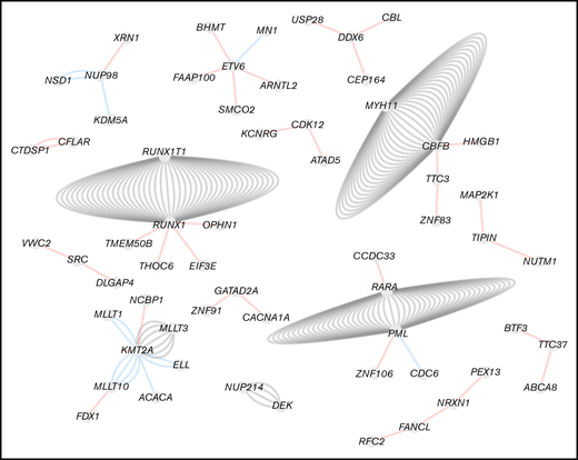 Fusion gene network in AML. Filtered fusions were imported in Cytoscape and visualized as a network where nodes represent genes and edges represent fusions. Unconnected fusions comping only 2 nodes were removed. The color of the edges corresponds to the fusion annotation. Red, novel fusion; blue, known fusion; gray, canonical fusion.