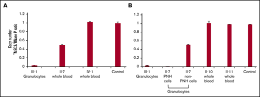Detailed genetic analyses of the family members. (A-B) Copy-number analysis of the TM2D3 gene using the QuantStudio 3D Digital PCR system. Non-PNH cells from II-7 had heterozygous deletions, and PNH cells from II-7 and III-1 had homozygous deletions, whereas other family members showed normal copy number. Experiments shown in panels A and B were performed at the different time points using the same samples in case of III-1 and control. Standard deviation bars are shown from the independent triplicate analysis.