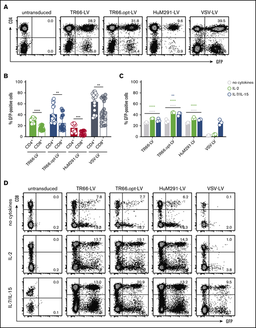 CD3-LVs transduce T cells independently of activation or cytokine treatment. (A-B) Primary human PBMCs isolated from different blood donations were activated with αCD3 and αCD28 antibodies for 3 days in the presence of IL-2 before they were incubated with CD3-LVs or VSV-LV. Green fluorescent protein (GFP) expression was determined 6 days later by flow cytometry. (A) Representative dot plots show GFP expression in CD4+ and CD4− populations gated for viable cells. (B) Scatter bar diagrams summarize the percentages of GFP+ cells as mean ± standard deviation (SD) of 3 independent experiments with 2-3 donors and 2-3 technical replicates. (C-D) Freshly isolated PBMCs were cultured overnight in presence of IL-2 or IL-7/IL-15, or in absence of cytokines, before they were transduced with CD3-LVs or VSV-LV. GFP expression was determined 6 days later by flow cytometry. (C) Scatter bar diagrams show the percentage of GFP+ cells in all viable single cells. (D) Representative dot plots show GFP expression in the CD8+ and CD8− populations gated for viable cells. Data are mean ± SD from 1 experiment with n = 3 technical replicates; biological replicates from additional experiments with IL-2- and IL-7/IL-15-stimulated cells are shown in supplemental Figure 6C-F. **P < .01, ***P < .001, ****P < .0001 by 2-way analysis of variance (ANOVA) with Dunnett's correction (comparison with VSV-LV for each condition), or unpaired Student t test.