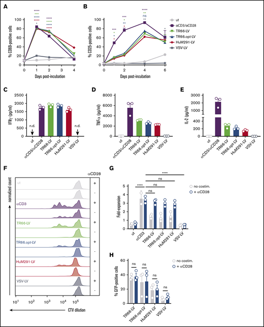 CD3-LVs activate cytokine-cultured T cells and induce cytokine production and proliferation. PBMCs isolated from adult blood were cultured overnight in the presence of IL-2 only and then transduced with the indicated CD3-LVs or with VSV-LV. Controls were left untransduced (ut) or activated with αCD3/αCD28 antibodies (1 µg/mL αCD3, 3 µg/ml αCD28) until first medium exchange. (A-B) Expression of the activation markers CD69 (A) and CD25 (B) on all viable cells was followed for 6 days by flow cytometry. The number of activation marker positive cells are shown. N = 3 donors, mean ± standard error of the mean. *P < .05, **P < .01, ***P < .001, ****P < .0001 by 2-way ANOVA with Dunnett's correction. (C-E) One day postincubation with vector particles or recombinant antibodies, cytokines secreted into the cell culture supernatant were quantified. Scatter bar diagrams show the concentration of interferon-γ (C), tumor necrosis factor-α (D), and IL-2 (E) for each condition. Mean ± SD from 1 experiment with n = 3 triplicates each are shown. (F) PBMCs were stained with CellTrace Violet (CTV) before transduction ± costimulation to follow cell proliferation over time. Histograms show the fluorescence of CTV at day 5 posttransduction. Data are representative of 3 different donors. (G) Bar diagrams display T-cell expansion after 6 days compared with day 0 ± costimulation. N = 3 donors, mean ± SD. ns, nonsignificant; *P < .05 by 1-way ANOVA with Dunnett's correction. (H) Bar diagrams show percentages of GFP+ cells gated from all viable single cells ± costimulation at day 6 posttransduction. N = 3 donors. Mean ± SD. ns, nonsignificant by 2-way ANOVA with Sidak's correction.