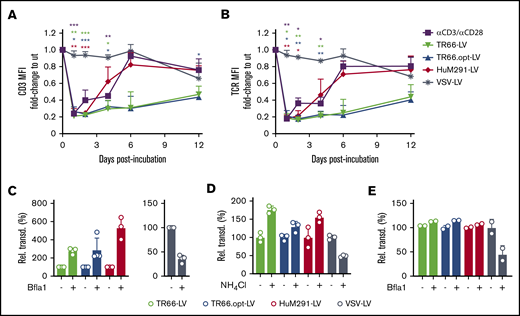 Endocytosis of the TCR/CD3 complex upon transduction. (A-B) Downmodulation of CD3 (A) and TCR (B) on PBMC stimulated only with IL-2 and transduced with CD3-LVs (in absence of Vectofusin-1), VSV-LV, or left untransduced but activated (αCD3/αCD28). The mean fluorescence intensities measured were normalized to those of untreated nonactivated cells. N = 3 donors, mean ± standard error of the mean. *P < .05, **P < .01, ***P < .001 by 2-way ANOVA with Dunnett's correction. (C-D) Inhibition of endocytosis with Bafilomycin A1 (Bfla1) (C) or NH4Cl (D) increases transduction efficiency on Jurkat cells with CD3-LVs. Mean ± SD of 3-4 independent experiments (E), or 1 experiment with 3 technical replicates (D). *P < .05, **P < .01, ****P < .0001 by unpaired Student t test. (E) Transduction of primary PBMC cultured in IL-2 by CD3-LVs upon treatment with Bfla1. N = 2 technical replicates from 1 donor, mean ± SD.