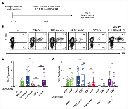 CD3-LVs transduce human T cells in whole blood. CD3-LVs and VSV-LV were tested for their ability to transduce T cells in whole blood of healthy donors in absence of additional stimuli and transduction enhancer. (A) Experimental procedure. (B) Representative dot plots show the percentages of GFP+ cells gated from all viable single cells at day 5 posttransduction in isolated PBMC. (C-D) Bar diagrams show the percentages of GFP+ cells of all viable single cells (C) and in CD4+ and CD8+ cell subsets (D) at day 5 posttranduction. *P < .05, **P < .01 by mixed-effect analysis with Sidak's correction. Mean ± SD of 3 independent experiments with 5 different donors. *P < .05, **P < .01 by mixed-effect analysis with Dunnett's correction.