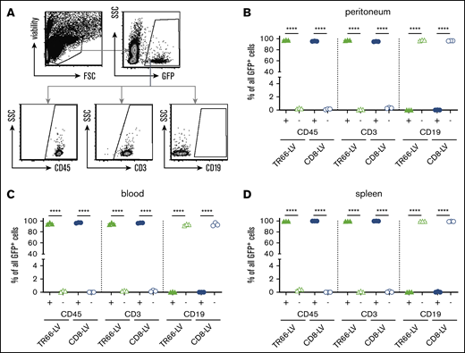Selectivity of TR66-LV in vivo. (A) Strategy for backgating of GFP+ cells generated in PBMC-NSG mice of Figure 5. All viable single GFP+ cells were assessed for expression of human CD45, CD3, and CD19. (B-D) Scatter plots for the percentages of GFP+ cells in the indicated fractions of peritoneum (B), blood (C), and spleen (D). Data are mean ± SD from n = 3 animals per group. ****P < .0001 by 1-way ANOVA with Sidak's correction.