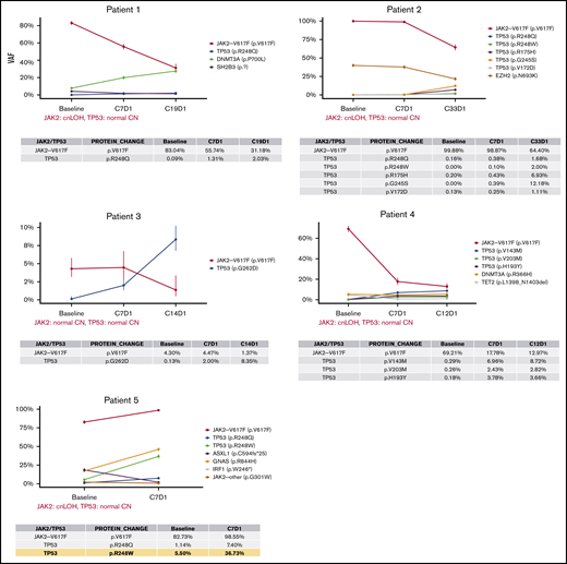Timeline profile of somatic mutations during idasanutlin therapy. Each panel depicts the VAF of somatic mutations in baseline and subsequent samples up to the last evaluable treatment time point during the therapy (4-33 months). The table below each graph details the VAFs of JAK2V617F and somatic TP53 mutations at each time point. The confidence intervals are calculated based on the sequencing depth at each locus, which are also listed in supplemental Table 1. In the data table for patient 5 (bottom left), the yellow highlights the largest increase in TP53 mutation VAF during the treatment that was observed in the cohort (R248W, ∼5.6 fold increase from baseline to C7D1). cnLOH, copy number neutral LOH.