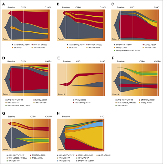 Clonal evolution analysis of each of the 5 patients during idasanutlin therapy. Fish plots show the selected models for clonal evolution history of 5 patients during idasanutlin therapy. The width of clones in each time point represents the estimated CCFs of each subclone population. For patient 1 (A-B), patient 2 (C-D), and patient 4 (F-G), two models are shown. The first model presents a scenario in which TP53 mutations are a minor subclone of JAK2V617F (A,C,F), and the second model represents a scenario in which the TP53 mutant and JAK2V617F exist in 2 independent subclones. Patient 3 (E) is the only patient whose data imply the existence of 2 independent TP53- and JAK2V617–mutated subclones. Patient 5 (H) is the only patient in whom mutated TP53 is unequivocally a subclone of the JAK2V617F founder clone. It must be noted that due to the relatively small number of somatic mutations in each sample, there are multiple models per patient, and the models presented are selected solely based on the relationship of TP53 and JAK2 mutations.