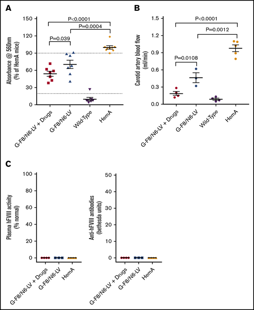 Transient immune suppression to enhance phenotypic correction in HemA mice after IO infusion of G-F8/N6-LV. HemA mice were pretreated with combined drugs (Dex 4 times + anti-CD8α mAb 5 times) and then given an IO infusion of self-inactivating LVs encoding hFVIII variant with the proximal 226–amino acid region of the B domain (F8/N6) under the control of GP1Bα promoter (G-F8/N6-LV; 2.2 × 106 ifu per animal) on day 0. (A) HemA phenotypic correction in mice treated with G-F8/N6-LV or G-F8/N6-LV plus drugs was evaluated by tail clip assay on day 70 (n = 6-8 per group). The average blood loss of untreated HemA mice was set as 100%. Wild-type C57BL/6 mice were used as positive controls. (B) HemA phenotypic correction in mice treated with G-F8/N6-LV plus drugs or G-F8/N6-LV was also evaluated by measuring carotid artery blood flow rate on day 84. (C) Plasma samples were collected from mice treated with G-F8/N6-LV plus drugs or G-F8/N6-LV on day 84. hFVIII activity and anti-FVIII antibodies were measured by activated partial thromboplastin time and Bethesda assays, respectively. Each symbol represented an individual animal. Data were expressed as mean ± standard deviation of the mean.