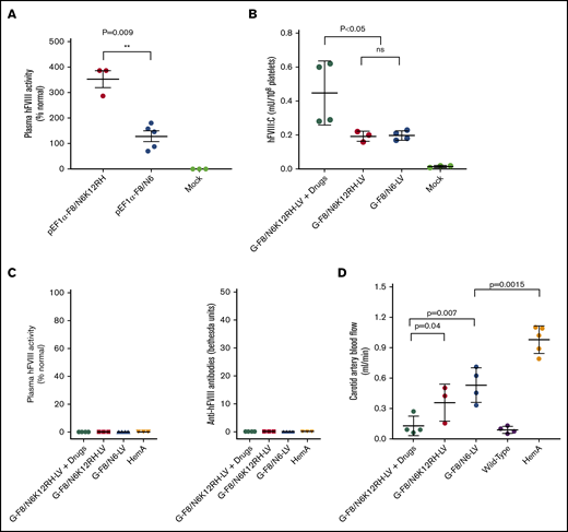 Phenotypic correction was achieved in transiently immunosuppressed HemA mice after IO infusion of G-F8/N6K12RH-LV. (A) F8/N6K12RH was cloned into a lentiviral transgene backbone plasmid controlled under a ubiquitous promoter EF1α (pEF1α-F8/N6K12RH). HemA mice were hydrodynamically injected with pEF1α-F8/N6K12RH (n = 3; 50 μg per animal) or pEF1α-F8/N6 (n = 5; 50 μg per animal) or sterile phosphate-buffered saline (PBS; n = 3; mock; 2 mL per animal). Plasma samples were collected on day 4 postinjection, and hFVIII activity was measured by activated partial thromboplastin time (aPTT) assay. (B) HemA mice were pretreated with drugs (Dex 4 times + anti-CD8α mAb 5 times) after IO infusion of G-F8/N6K12RH-LV (2.2 × 106 ifu per animal) or G-F8/N6-LV (2.2 × 106 ifu per animal) or sterile PBS (mock; 20 μL per animal) on day 0. hFVIII levels in platelet lysates in mice treated with G-F8/N6K12RH-LV plus drugs, G-F8/N6K12RH-LV only, or G-F8/N6-LV only and mock mice were measured by enzyme-linked immunosorbent assay on day 84. (C) Plasma samples were collected from the treated or mock mice on day 84. hFVIII activity and anti-FVIII antibodies were measured by aPTT and Bethesda assays, respectively. (D) HemA phenotypic correction in mice treated with G-F8/N6-LV only or G-F8/N6K12RH-LV plus drugs was also evaluated by measuring carotid artery blood flow rate on day 84. Each symbol represents an individual animal. Data are expressed as mean ± standard deviation of the mean. **P < .01. ns, not significant.