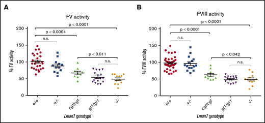 Plasma FV and FVIII activity levels for Lman1 mutant mice (C57BL/6J background). (A) Plasma FV activity as percentage of wild-type. (B) Plasma FVIII activity as percentage of wild-type. Each symbol represents an individual animal. Horizontal lines indicate mean, and error bars indicate standard error of the mean for each genotype.