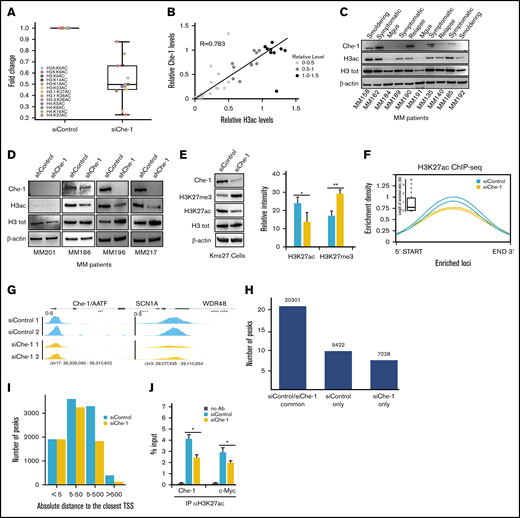 Che-1 sustains histone acetylation. (A) Histone acetylation analysis by mass spectrometry from Kms27 cells transiently transfected with siRNA control (siControl) or siRNA Che-1 (siChe-1). (B) Che-1/H3ac correlation in 37 MM samples evaluated by using western blot (WB) analysis and densitometric analysis. R score, 0.783; P < .0001. (C) Representative WB analysis with the indicated antibodies of total cell extracts from CD138+ purified plasma cells of primary tumors. (D) CD138+ neoplastic cells from patients with symptomatic myeloma were cocultured with stromal cells from the same patient for 24 hours before infecting them with shChe-1 or shControl lentiviral vectors. After 48 hours, total cell extracts from infected MM primary cells were analyzed by WB with the indicated antibodies. (E) Decreased levels of H3K27ac and increased levels of H3K27me3 were found in Kms27 cells transiently transfected with siChe-1 compared with siControl. The bar plot shows the average modulation of histone H3 modifications observed in these experiments (n = 3). P value was calculated by Student t test; *P = .043, **P = .0039. (F) Enrichment density of H3K27ac ChIP-seq significant peaks identified in siControl (blue) and siChe-1 (yellow) samples. Enrichment density was calculated on the relative size of each peak, with 2 replicates per group. Boxplot shows the peak sizes. (G) H3K27ac ChIP-seq signal in siControl (blue) and siChe-1 (yellow) samples at AATF, SCN1A, WDR48 loci. Signal enrichment scale, 0 to 5. (H) Bar plot showing the number of H3K27ac ChIP-seq peaks in common and specific to siControl and siChe-1 samples. (I) Boxplot showing the relative distance of each significant peak to the closest gene in siControl (blue) and siChe-1 (yellow). Distance calculated as absolute value and expressed in kilobase. (J) Kms27 cells transiently transfected with siControl or siChe-1 were subjected to ChIP–quantitative polymerase chain reaction (ChIP-qRT) using anti-H3K27ac antibody (Ab). Data are expressed as percentage of input. Data represent the mean ± standard deviation. P value was calculated by Student t test (n = 3; *P < .023). See also supplemental Figure 2. Mgus, monoclonal gammopathy of undetermined clinical significance.
