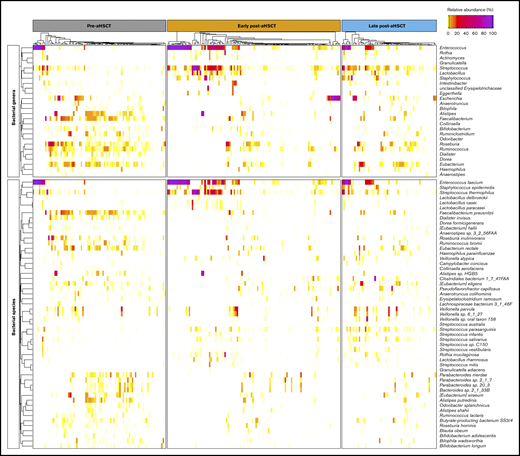Significant changes in bacterial abundance relative to aHSCT. Heatmap of bacterial abundance in each period (pre-aHSCT, early post-aHSCT, and late post-aHSCT). The bacterial genera and species shown are only those found to be significantly different in abundance between the pre-aHSCT and early post-aHSCT periods and/or the pre-aHSCT and late post-aHSCT periods and those present in ≥10% of samples tested, at a minimum of 0.01% relative abundance. Clustering by row (ie, by bacteria) is based on Pearson clustering distances and has been performed separately for genera and species. Clustering by column (ie, by sample) is based on Euclidean distances and has been performed separately for each time period.