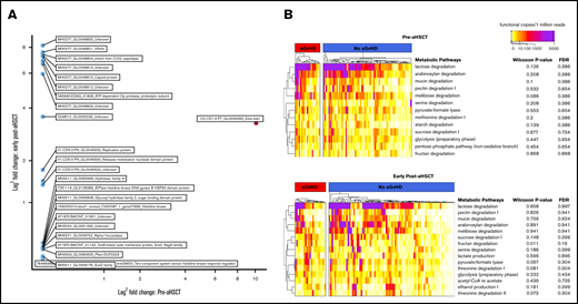 Gut microbial gene abundance and metabolic pathways associations with aGVHD. (A) Log2 fold-changes of genes found in significantly higher amounts among those who do not develop aGVHD both pre-aHSCT and early post-aHSCT. (B) Discovery analysis of metabolic pathways found in at least 10% of samples tested at an abundance of 1000 copies per 1 million reads in pre-aHSCT and early post-aHSCT samples.