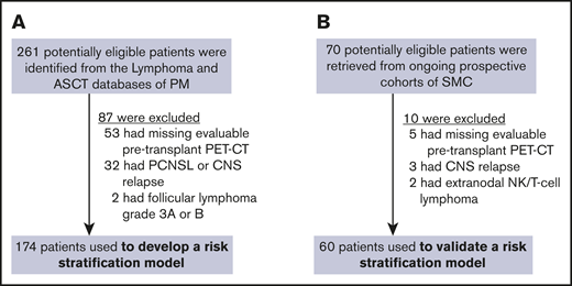 Study flow. Training (A) and validation (B) cohorts. PCNSL, primary central nervous system lymphoma; NK, natural killer.