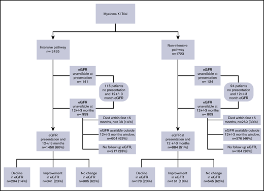 National Cancer Research Institute Myeloma XI trial consort diagram showing patient distribution with a baseline and 12 ± 3-month eGFR.