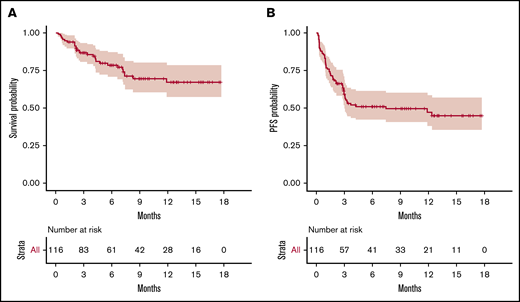 OS and PFS of the 116 patients treated with commercialized CAR T cells (tisa-cel, n = 49; axi-cel, n = 67). (A) OS probability. (B) PFS probability.