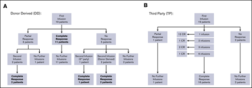 Response to VSTs. (A) Response to donor-derived BKPyV-VST flowchart. (B) Response to third-party BK-VST flowchart.